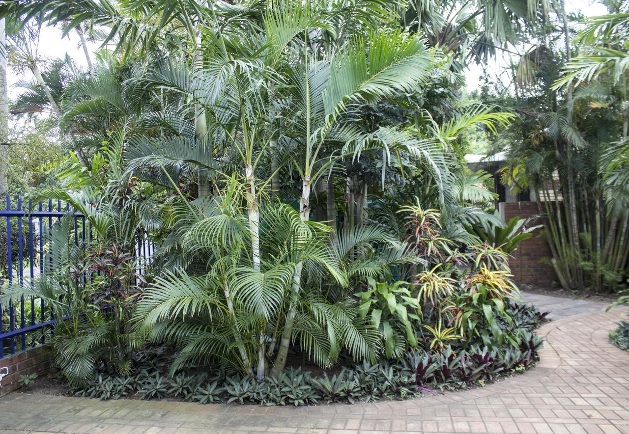 Avalone Guest House St Lucia Exterior photo